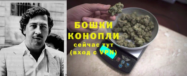 МДПВ Краснослободск