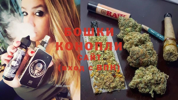 гашик Кущёвская