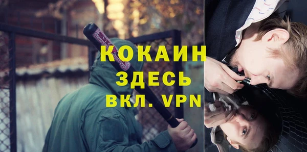 гашик Кущёвская