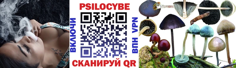 Галлюциногенные грибы GOLDEN TEACHER  KRAKEN   Богородск  где купить наркотик 
